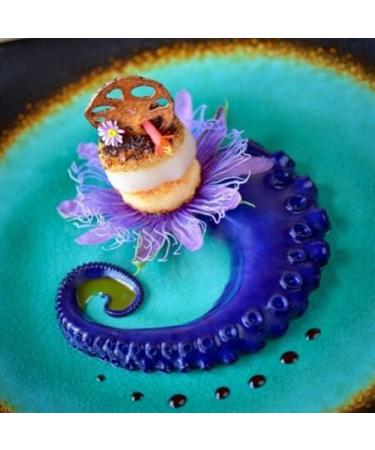 Red Cabbage Powder | Water Soluble Food Dye | Net weight: 1.76oz/50g - Amazing in the Kitchen or for Cocktails! Makes Colour-changing Beverages and Dishes in Red Or Magenta Pink Purple Blue - Buy Online on GoSupps.com