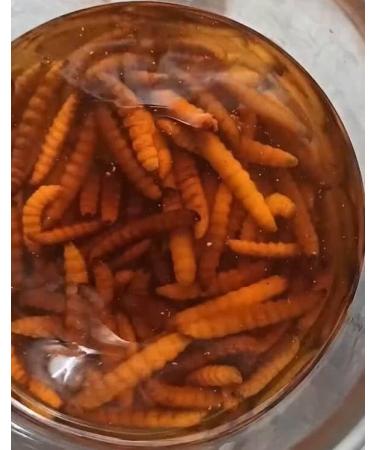 3 Pack Wax Moth Larvae Tincture 25% Galleria Mellonella Extract (Ognevka) - Natural Bee-Derived Liquid Concentrate for Respiratory Comfort & Balanced Wellness - 3 60 mL - Buy Online on GoSupps.com