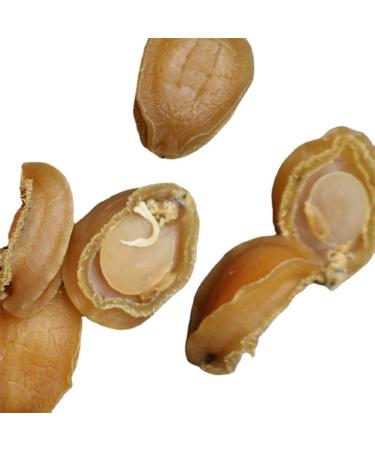 Dried Abalone (100g(0.22pounds))