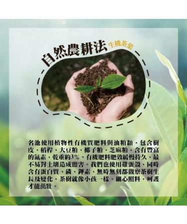 Taiwan unique tea Chin-Shin-Oolong Dayuling grade hand-picked mountain tea 150g*4 - Buy Online on GoSupps.com