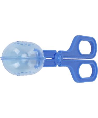 Zerodis Reptile Feeding Clamp & Poop Scoop Tool - Optimal Feeding & Cleanup for Turtles Lizards Frogs & Spiders (Blue) - Buy Online on GoSupps.com