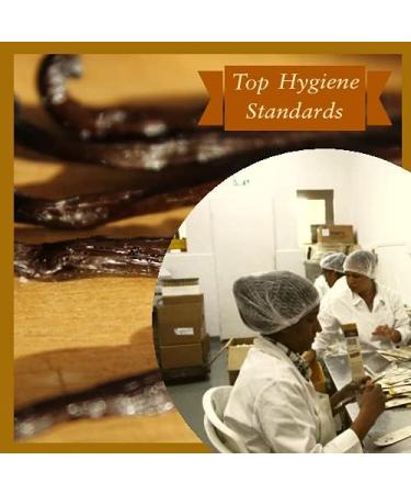 100% Natural Madagascar Bourbon Vanilla Pods - 15 Pods - Buy Online on GoSupps.com