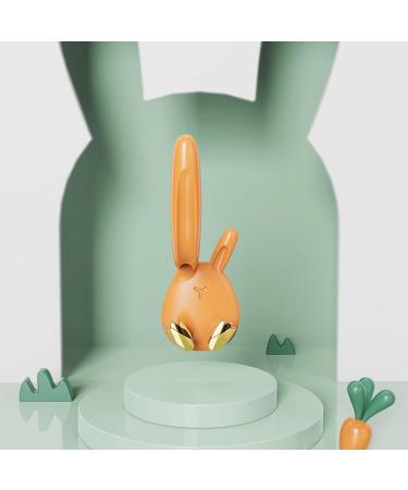 DIARY PICE International Shior Lass Wall Hook - Shower Razor Handbook Hooks Hanging Wall Organizer Kitchen Key Holder - Stylish Orange Home Storage Solution - Buy Online on GoSupps.com