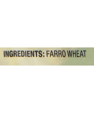 Nature's Earthly Choice Organic Farro  14 Ounces (Pack of 6) - Buy Online on GoSupps.com