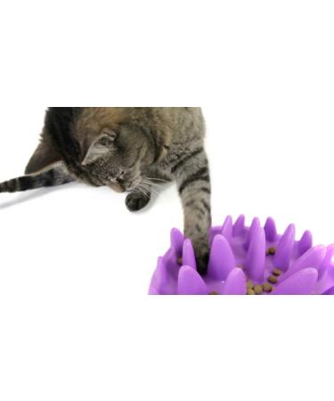 The Company of Animals CATCH Interactive Feeder - Purple | Buy Online - Buy Online on GoSupps.com