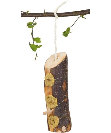 JR FARM Garden Bark-Butter Mealworms 2kg - Premium Natural Treat for Birds & Wildlife | International Shipping Available - Buy Online on GoSupps.com