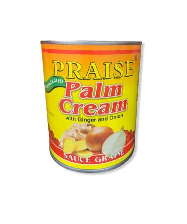 Praise Palm Nut Cream Ginger and Onion 800g-Fd