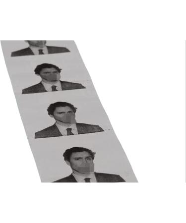Trudeau Toilet Paper Roll Trudeau Funny Humor Gift Pack 4 Rolls - Buy Online on GoSupps.com