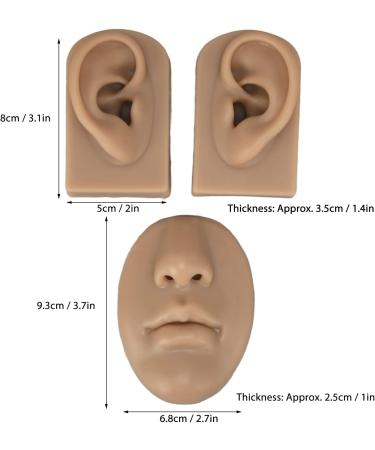 Luqeeg Soft Silicone Ear, Nose, and Mouth Model Set for Suture Practice and Acupuncture Display - 3D Flexible Body Simulation Props - Buy Online on GoSupps.com
