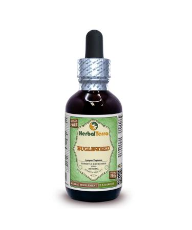 Bugleweed (Lycopus Virginicus) Glycerite Organic Dried Leaves and Flowers Alcohol-Free Liquid Extract 2 oz Alcohol-FREE 2 Fl Oz (Pack of 1)