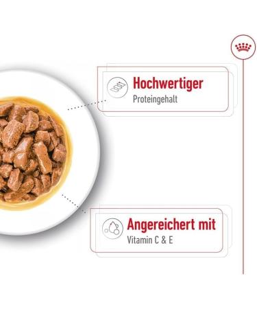 Royal Canin Medium Adult Wet Dog Food Pouches 40 x 140g - Buy Online on GoSupps.com