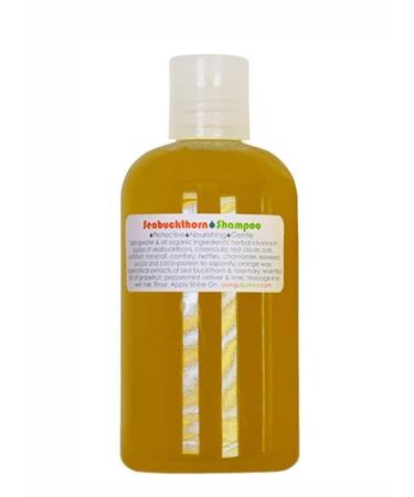 Living Libations - Organic/Wildcrafted Seabuckthorn Shampoo (8 fl oz / 240 ml)
