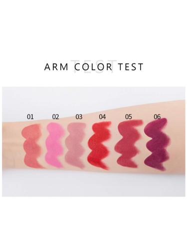 6-Piece Nude Matte Lipstick Set - Long Lasting, Waterproof, Moisturizing Makeup Gift - Buy Online on GoSupps.com