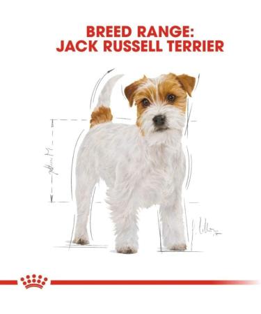 Royal Canin Dog Food Jack Russell Complete 7.5KG - Buy Online on GoSupps.com