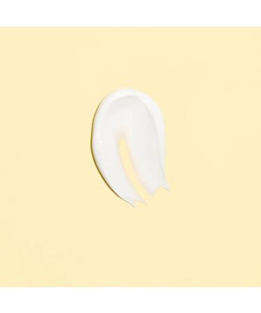 BIOLANE - Organic changing cream - Relies and repairs - Irritations and redness of the seat - Baby - Ingredients of natural origin - Made in France - Buy Online on GoSupps.com