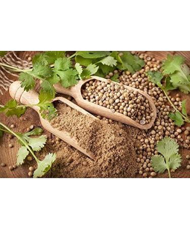 Coriander Seeds - Excreted Coriander Seeds - Reduced Seeds - Premium Quality from Bulgaria - 250g Bag - Buy Online on GoSupps.com