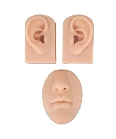 2 pieces of silicone ear model simulation ear model soft flexible model artificial ear for piercing exercises realistic ear shape for jewelry presentation acupuncture instructions (medium skin color)
