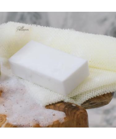 Pellequr Soft Body Sponge | Exfoliating Sponge for Removing Dead Skin - Buy Online on GoSupps.com