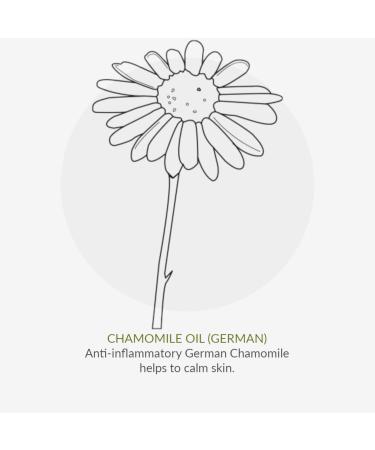 Green People Edelweiss Sun Cream SPF15 100ml | Travel Size for Hand Luggage | Natural Organic Sunscreen with Tan Accelerator | Non Comedogenic Non Greasy | Reef Safe Cruelty Free | Face & Body 100 ml (Pack of 1) - Buy Online on GoSupps.com