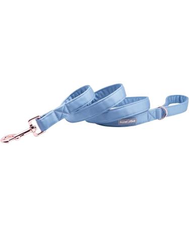 Lionet Paws Dog Leash - Stylish Silk Leash for Small Medium & Large Dogs | Matching Collars Available | Blue XS Leash (Pack of 1) - Buy Online on GoSupps.com