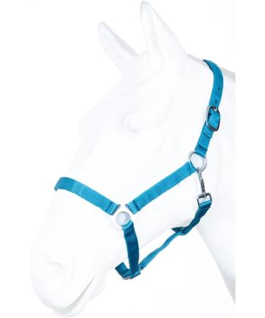 Buy RL24 Nylon Halter BASICLINE in Turquoise/Aqua for Thoroughbreds - International Shipping Available - Buy Online on GoSupps.com
