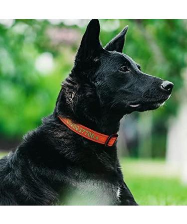 Tagme Personalized Reflective Dog Collar for Large Dogs - Embroidered with Name & Phone Number - Orange XL - Durable Nylon (1 Pack) - Buy Online on GoSupps.com