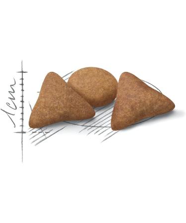 Royal Canin Cat Food Indoor Appetite Control 2 KG - Balanced Nutrition for Indoor Cats - Buy Online on GoSupps.com