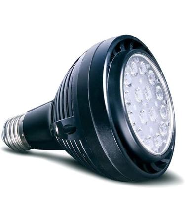 Arcadia Ajds40 Jungle Dawn Lamp Spot 40 Watt - Buy Online on GoSupps.com