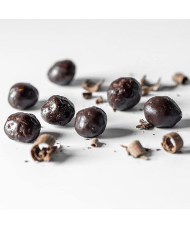 Macadamia Dipped Nuts Chocolate 12 x 1.41oz - Keto Vegan Paleo Gluten-Free Sugar-Free - Buy Online on GoSupps.com