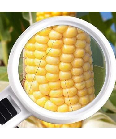 Magnifying Glasses Educational Hobby Magnifiers Handheld Magnifying Glass with Led Lights Hd Child Eldly Low Vision Hobbies 100Mm Portable Magnifying Mirror Comfortable Anniversary - Buy Online on GoSupps.com