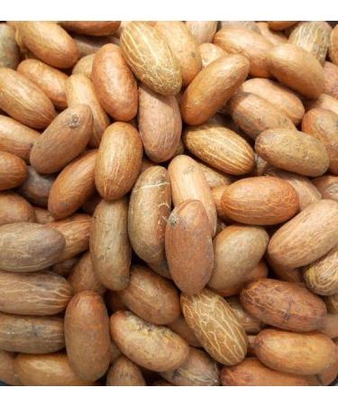 Fresh African Bitter Kola Nut Garcina Kola (1Kg) 1.0 Kilograms