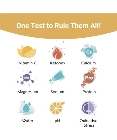 Vivoo 2.0 | Advanced Urine Test Strips with App | at Home Urine Test Strips for Keto Test Calcium Vitamin C Proteins Salinity Hydration and More | 3 Month / 12 Tests 4 count (Pack of 3) - Buy Online on GoSupps.com