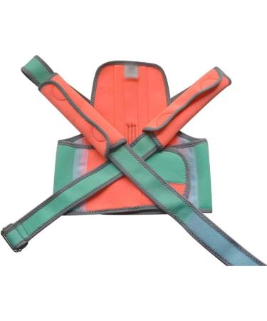 DFHBFG Children & Adult Posture Corrector - Back Support Belt & Lumbar Brace for Spine Alignment - Buy Online on GoSupps.com