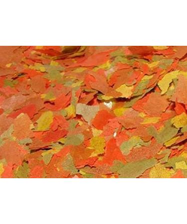 TODOPETS Kiki Gold Food for cold water fish 200 g 1000 ml - Buy Online on GoSupps.com