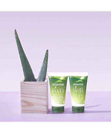 Atlantia Hand & Nail Cream | Natural Moisturizing Aloe Vera Cream for Cracked & Dry Hands | 75ml - Buy Online on GoSupps.com