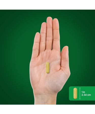 Piping Rock Turmeric Curcumin Supplement 800mg | 180 Capsules | Herbal Extract Complex | Non-GMO Gluten Free - Buy Online on GoSupps.com