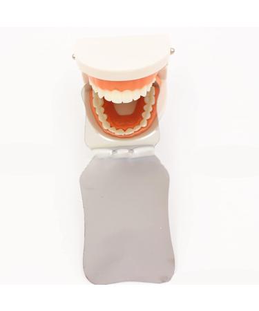 Spuzzo Stainless Steel Photo Mirror - Curved Foldable Intraoral Reflector for Orthodontics & Tooth Lighting | International Shipping - Buy Online on GoSupps.com