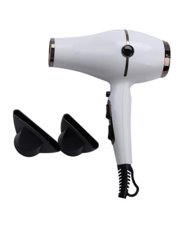 1800W Professional Hair Dryer Powerful Hairdryers with 2 Nozzles Lightweight Blow Dryer Fast Dry 2 Speed 3 Heat Cool Shot Setting Long Cable AC Motor Fast Drying Time and Frizz Free Shine White Small