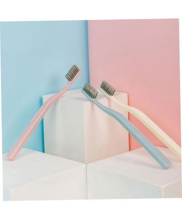 Frcolor 6th Adult Stiff Brush - Manual Reusable Toothbrush for Stain Removal & Nubuk Cleaning - Buy Online on GoSupps.com