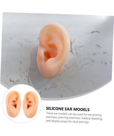 Human Ear Model Earrings Display Set - 4pcs Pierced Ear Piercing Jewelry Simulator for Studs - Assorted Colors - 5.66x4.88x5cm - Buy Online on GoSupps.com