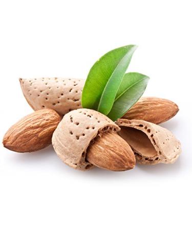 VitaFeel Almond Base Oil - 250ml | Premium Natural Cosmetic Ingredient for DIY Skincare - Buy Online on GoSupps.com