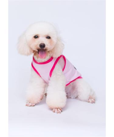 3-Pack Princess Prince T-Shirts for Dogs & Cats Cute Costumes for Small & Medium Pets | Shop Now! - Buy Online on GoSupps.com