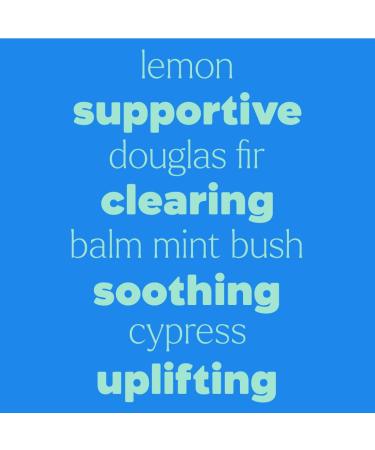 Plant Therapy Kids Quiet Cough Essential Oil Roll-on Pre-Diluted 10 mL (1/3 oz) 100% Pure Support Respiratory Health Ease Congestion - Buy Online on GoSupps.com