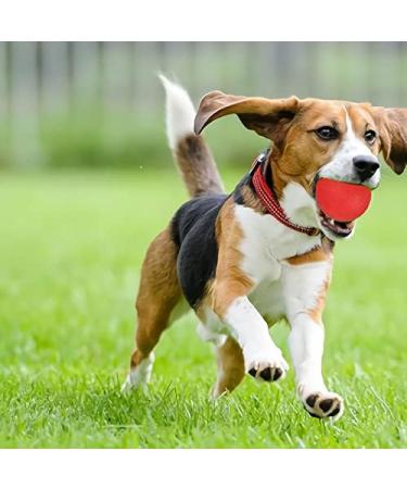 Panlom 3 Pack Dog Balls Indestructible - 100% Natural Rubber Dog Ball Non-Toxic Tough Toy for Small Medium Large Dog Medium 5.5cm/2.2inch - Buy Online on GoSupps.com