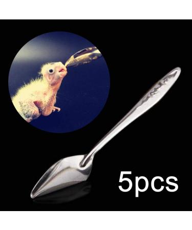 Folewr 5 Pcs Baby Bird Pointed Feeding Spoon Stainless Steel Milk Medicine Parrot Feeder for All Baby Bird Peony Cockatiel Household Pet Feeding Supplies - Buy Online on GoSupps.com