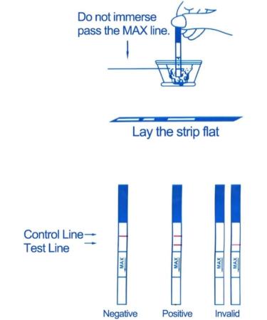 Early Pregnancy Test Strips (5 Pack) | HCG Test Strips | IVF Pregnancy Tests | Over 99.9% Accuracy - Buy Online on GoSupps.com
