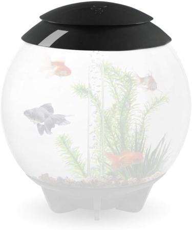 biOrb Oase Replacement HALO 60 Lid with intergrated MCR Lights - Grey - Buy Online on GoSupps.com