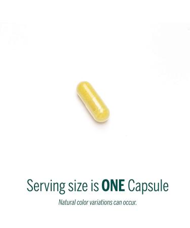 Genestra Berberis Formula 180 Capsules - Barberry, Goldenseal & Oregon Grape Supplement - Buy Online on GoSupps.com