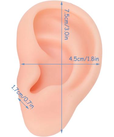 Silicone Ear Model for Earrings - Flexible Simulation Earmodel for Jewelry Display & Acupuncture Training - Lightweight Teaching Tool - Buy Online on GoSupps.com
