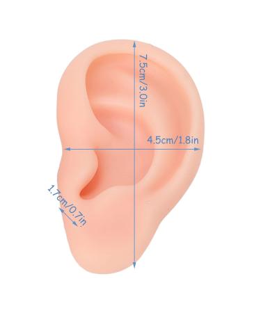 Soft Silicone Ear Model for Beginners - Realistic Ear Piercing Practice & Earring Display Prop (Light Skin) - International Shipping Available - Buy Online on GoSupps.com